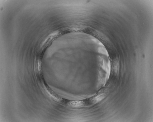 X0000062670526200601041013