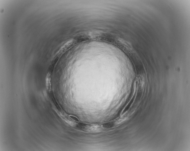 X0000062670527200601041013