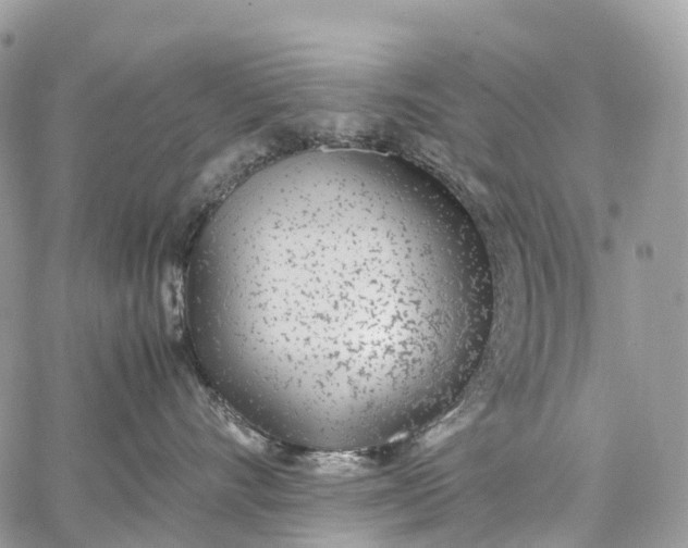 X0000062670528200601041013