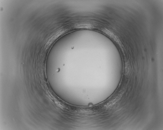 X0000062670529200601041012