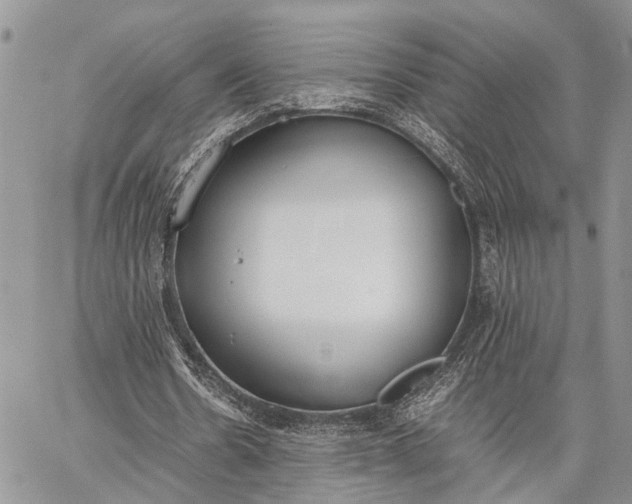 X0000062670530200601041012