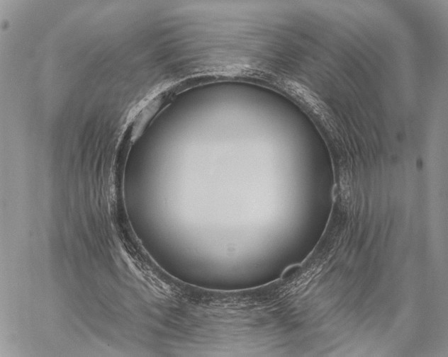 X0000062670532200601041012