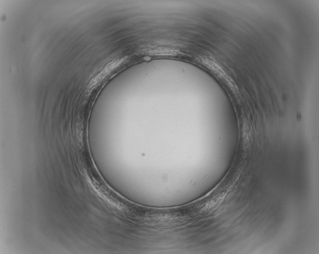 X0000062670533200601041012