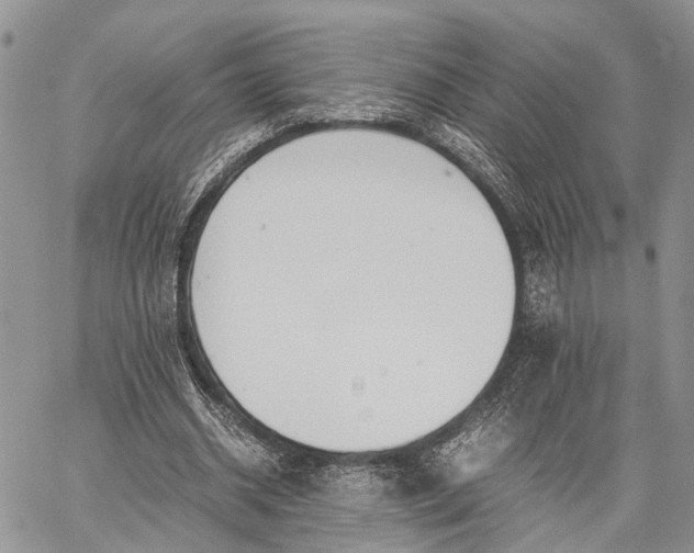 X0000062670534200601041012