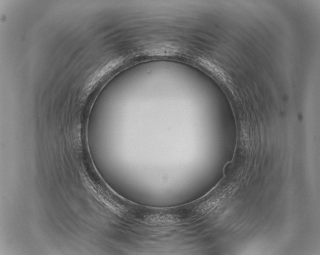 X0000062670535200601041012