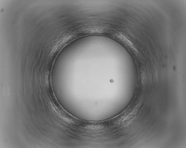 X0000062670537200601041012