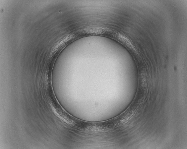 X0000062670538200601041012