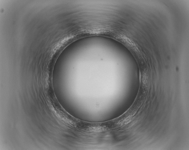 X0000062670540200601041012