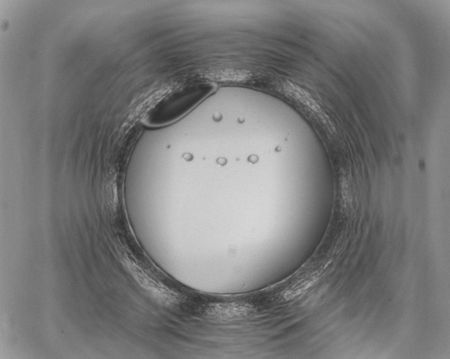 X0000062670541200601041012