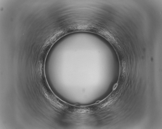 X0000062670542200601041012