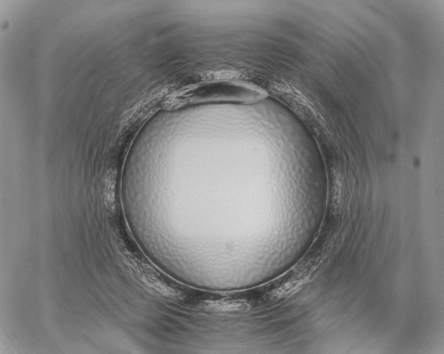 X0000062670545200601041012