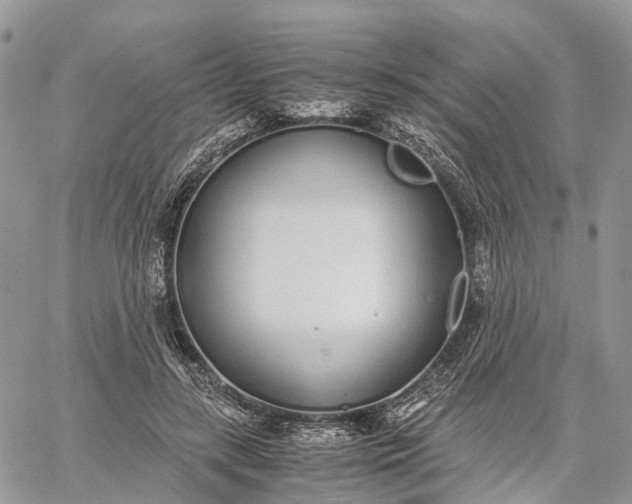 X0000062670547200601041012