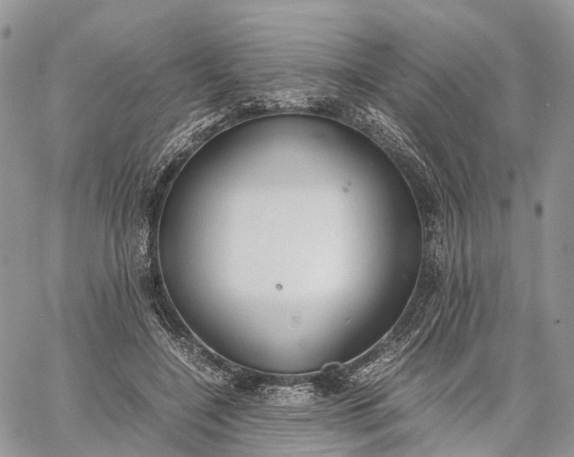 X0000062670548200601041012