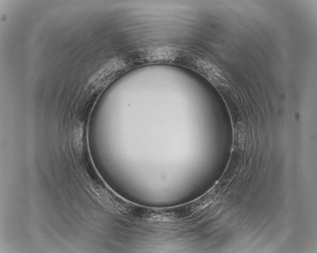 X0000062670550200601041012