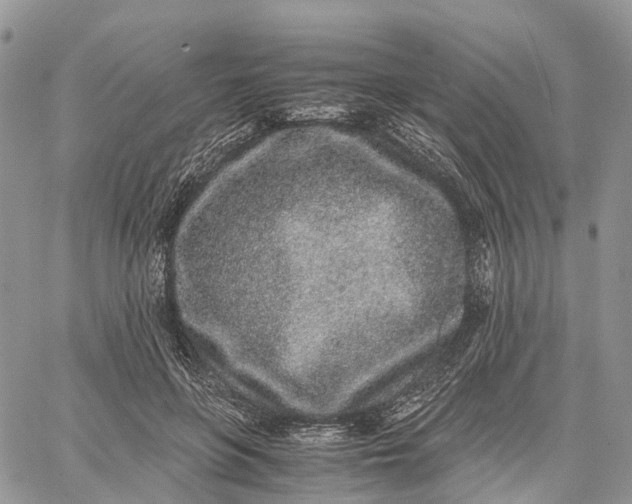 X0000062670551200601041012