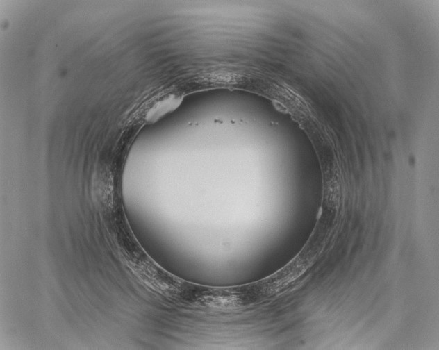 X0000062670552200601041012