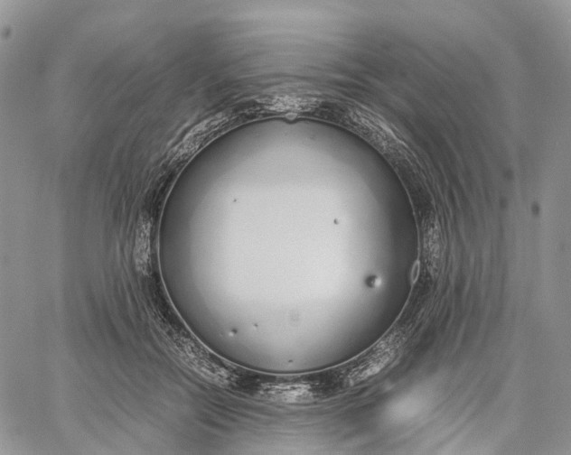 X0000062670554200601041012