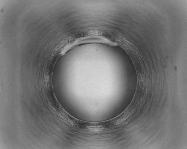 X0000062670556200601041012