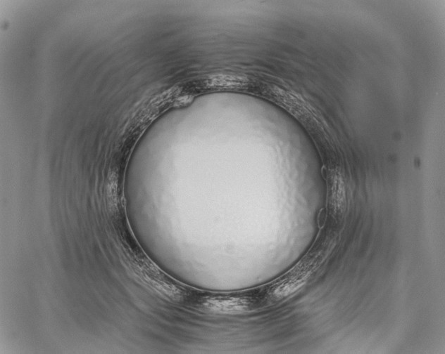 X0000062670557200601041012