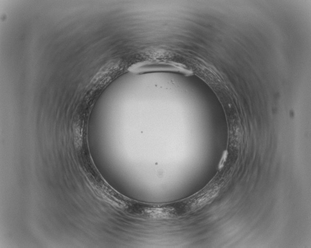 X0000062670558200601041012