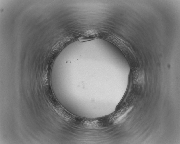 X0000062670560200601041012