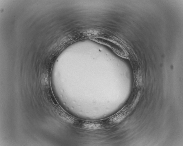 X0000062670561200601041012