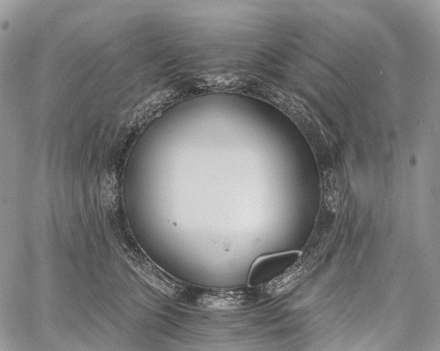 X0000062670563200601041012