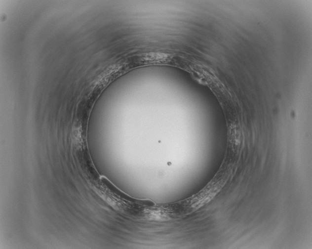 X0000062670564200601041012