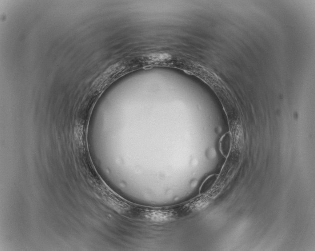 X0000062670565200601041012