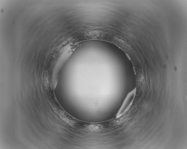 X0000062670566200601041012