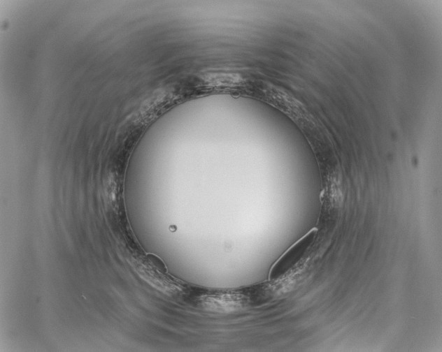 X0000062670567200601041012