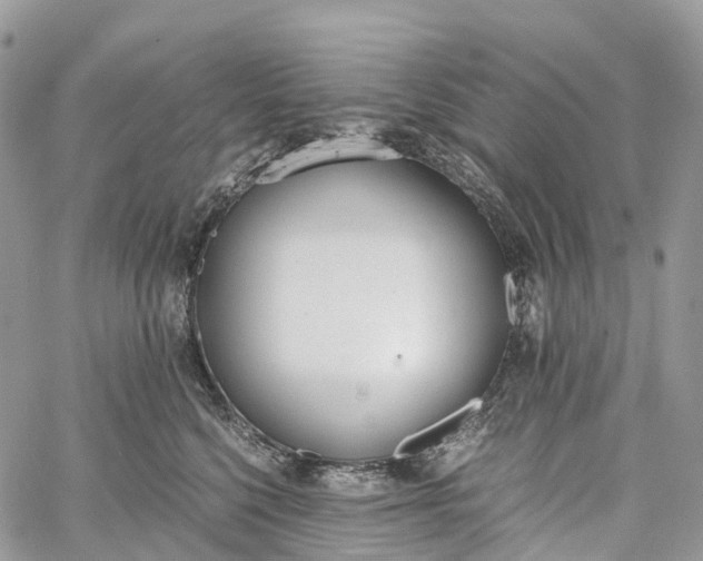 X0000062670568200601041012