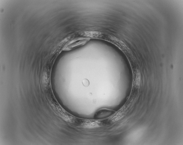 X0000062670569200601041012