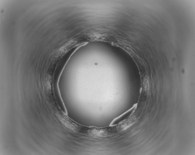 X0000062670570200601041012