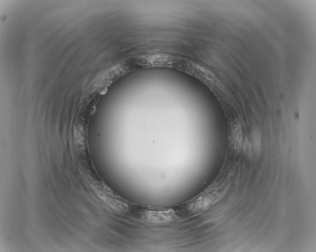 X0000062670571200601041013