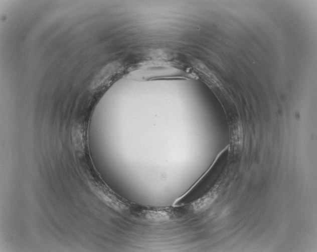 X0000062670572200601041013