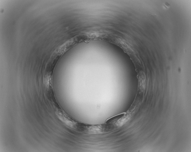 X0000062670574200601041013