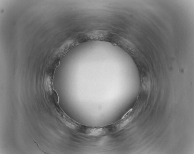 X0000062670575200601041013