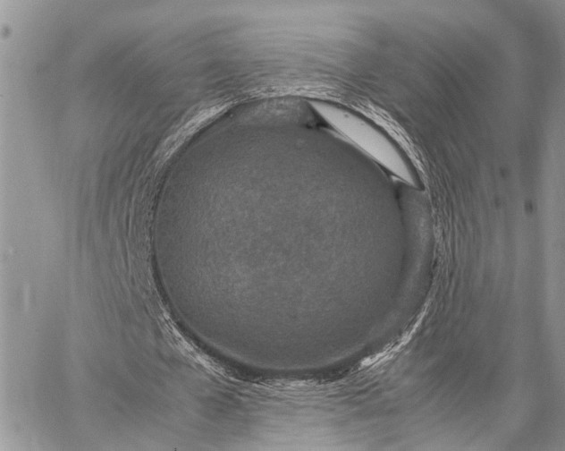 X0000062670577200601041012