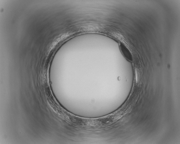 X0000062670579200601041012