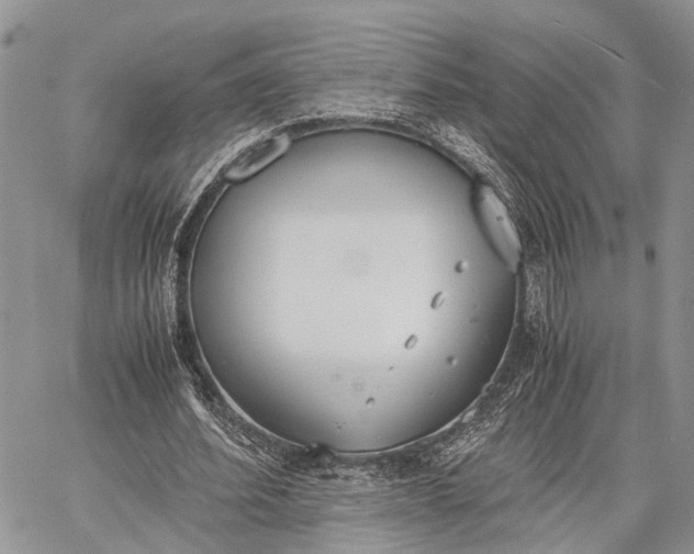 X0000062670580200601041012