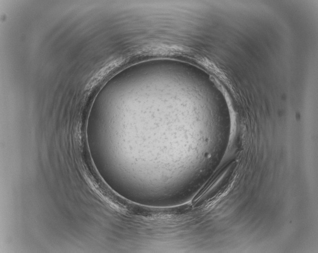 X0000062670581200601041012