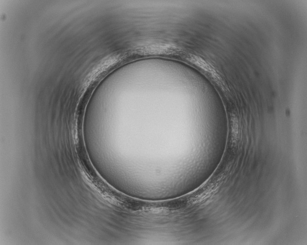 X0000062670582200601041012