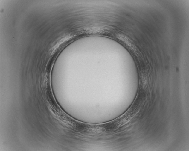 X0000062670583200601041012