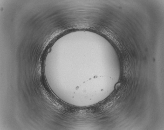 X0000062670584200601041012