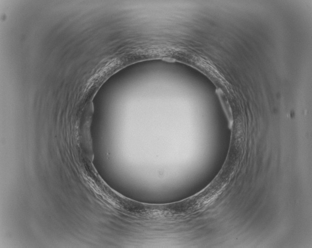 X0000062670585200601041012