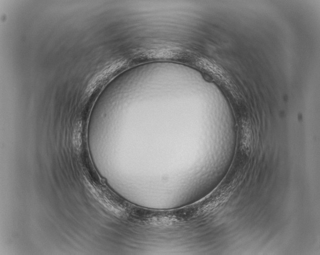 X0000062670586200601041012