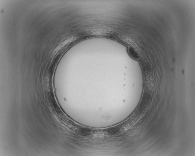 X0000062670587200601041012