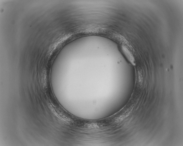 X0000062670588200601041012