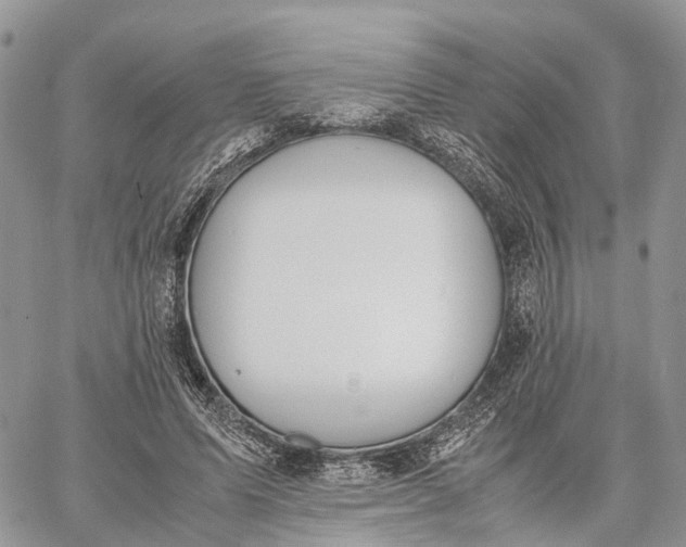 X0000062670591200601041012